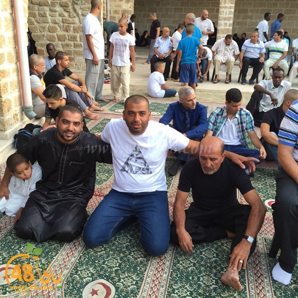 3ed ad7a ma7modiya (37).jpg